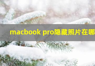 macbook pro隐藏照片在哪里